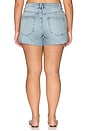 view 8 of 11 Vintage Mid Shorts in Indigo