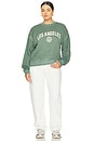 view 8 of 8 Brushed Fleece Graphic Crewneck in Washed Fatigue Green001