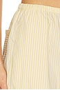 view 11 of 11 PANTALON in Butterbeam Stripe