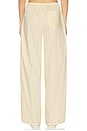 view 7 of 11 PANTALON in Butterbeam Stripe