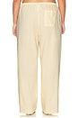 view 8 of 11 PANTALON in Butterbeam Stripe