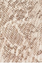 view 11 of 11 Mesh Boatneck Bodysuit in Ssp Print001