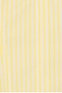 view 9 of 9 Poplin Buster Cami Top in Butterbeam Stripe
