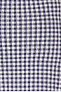 view 9 of 9 The Keepsake Tank Top in Navy Gingham