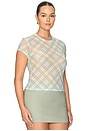 view 4 of 8 The Mesh Baby Tee in Summer Plaid Honey
