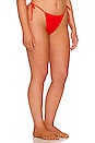 view 4 of 9 Always Fits Tiny Ties Bikini Bottom in Bright Poppy