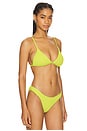 view 3 of 9 Perfect Fit Bikini Top in Palo Verde002