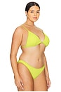view 4 of 9 Perfect Fit Bikini Top in Palo Verde002