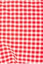 view 9 of 9 Gingham Cheeky Hipster Bottom in Grenadine Gingham001