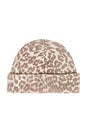 view 2 of 2 Graphic Mix Printed Leopard Beanie in Leopard