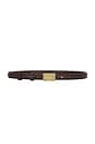 view 1 of 3 Kat Belt Small in Chicory Coffee
