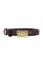 view 3 of 3 Kat Belt Small in Chicory Coffee