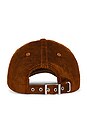 view 2 of 2 Corduroy Cap in Tortoise Shell