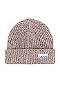 view 3 of 3 Knit Beanie in Multicolor in Multicolour