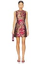 view 1 of 4 Fringed Tapestry Organza Mini Dress in Pompeian Red
