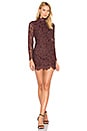 view 1 of 3 Jerome Lace Dress in Decadent Chocolate