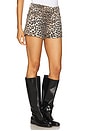 view 2 of 6 Print Denim Hotpants in Leopard