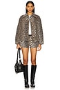 view 5 of 6 Print Denim Hotpants in Leopard