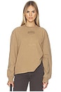 view 1 of 5 Future Essentials Washed Effect Long Sleeve Pullover in Coca Mocha