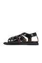 view 5 of 5 Feminine Buckle Sandal in Black