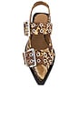 view 4 of 5 Feminine Buckle Ballerina in Buckthorn Brown