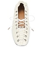 view 4 of 5 Eyelets Lace Up Ballerina in Egret