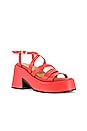 view 2 of 5 Asymmetric Platform Wedge in Paprika