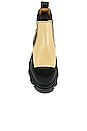 view 4 of 5 Low Chelsea Boot in Sand