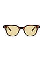 view 1 of 3 Naples Sun Sunglasses in Spotted Brown Shell
