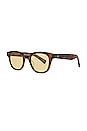 view 2 of 3 Naples Sun Sunglasses in Spotted Brown Shell