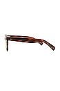 view 3 of 3 Naples Sun Sunglasses in Spotted Brown Shell
