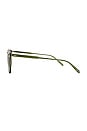 view 3 of 3 Brooks Ii Sun Sunglasses in Juniper & Pure Green