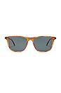 view 1 of 3 Hayes Sun Sunglasses in Ember Tortoise