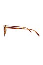 view 3 of 3 Hayes Sun Sunglasses in Ember Tortoise