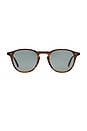 view 1 of 3 Hampton Sun in Matte Saddle Tortoise & Semi-Flat Bluesmoke in Matte Saddle Tortoise & Semi-flat Blue Smoke