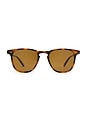 view 1 of 3 Brooks Sun in Spotted Brown Shell & Semi-flat Pure Coffee Polar