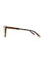 view 3 of 3 Brooks Sun in Spotted Brown Shell & Semi-flat Pure Coffee Polar