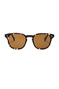 view 1 of 3 Ace II Sun in Agate Tortoise & Semi-flat Pure Coffee