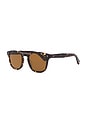 view 2 of 3 Ace II Sun in Agate Tortoise & Semi-flat Pure Coffee