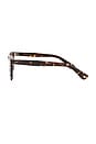 view 3 of 3 Ace II Sun in Agate Tortoise & Semi-flat Pure Coffee