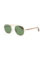 view 2 of 3 Van Buren II Sun in Gold-sap Tortoise & Flat Pure Green