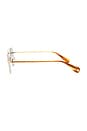 view 3 of 3 Van Buren II Sun in Gold-sap Tortoise & Flat Pure Green
