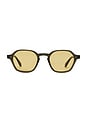 view 1 of 3 LUNETTES DE SOLEIL in Evergreen & Semi Flat Pure Maple