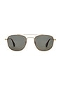 view 1 of 3 LUNETTES DE SOLEIL in Gold Spotted Brown Shell & Green