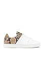 view 1 of 6 SNEAKERS DEVOE in Snake & White