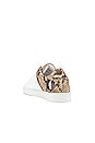 view 3 of 6 SNEAKERS DEVOE in Snake & White