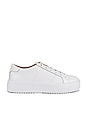 view 1 of 6 ZAPATILLA DEPORTIVA ROYALE LIGHT WEIGHT in White Leather