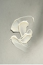 view 2 of 5 The One Body Butter in 