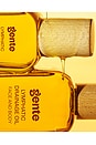 view 2 of 5 Unscented Lymphatic Drainage Oil in 