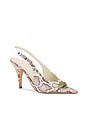 view 2 of 5 Maureen Heels in Python